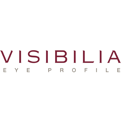Logo Visibilia